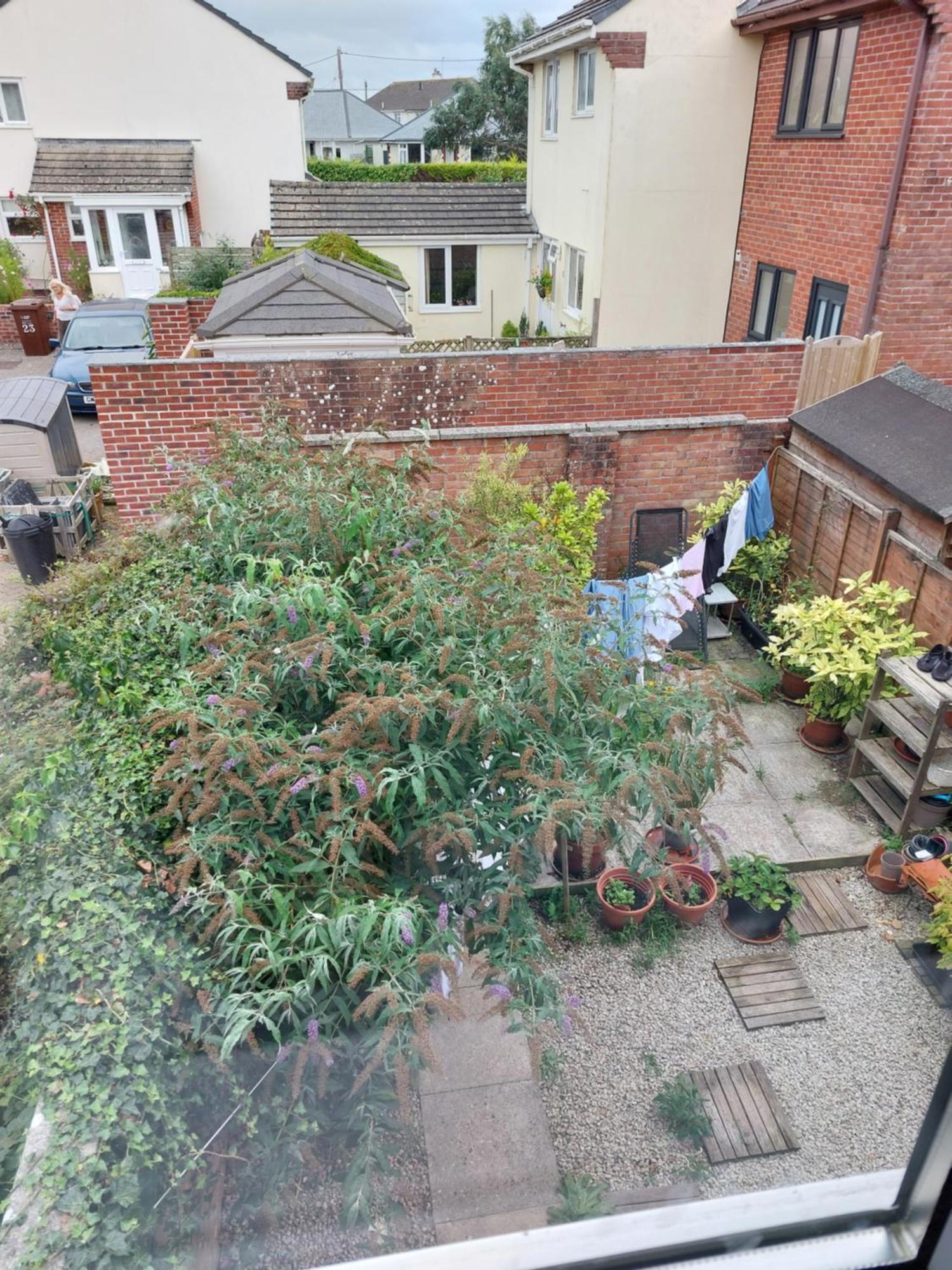 Bude Homestay Stratton  Dış mekan fotoğraf