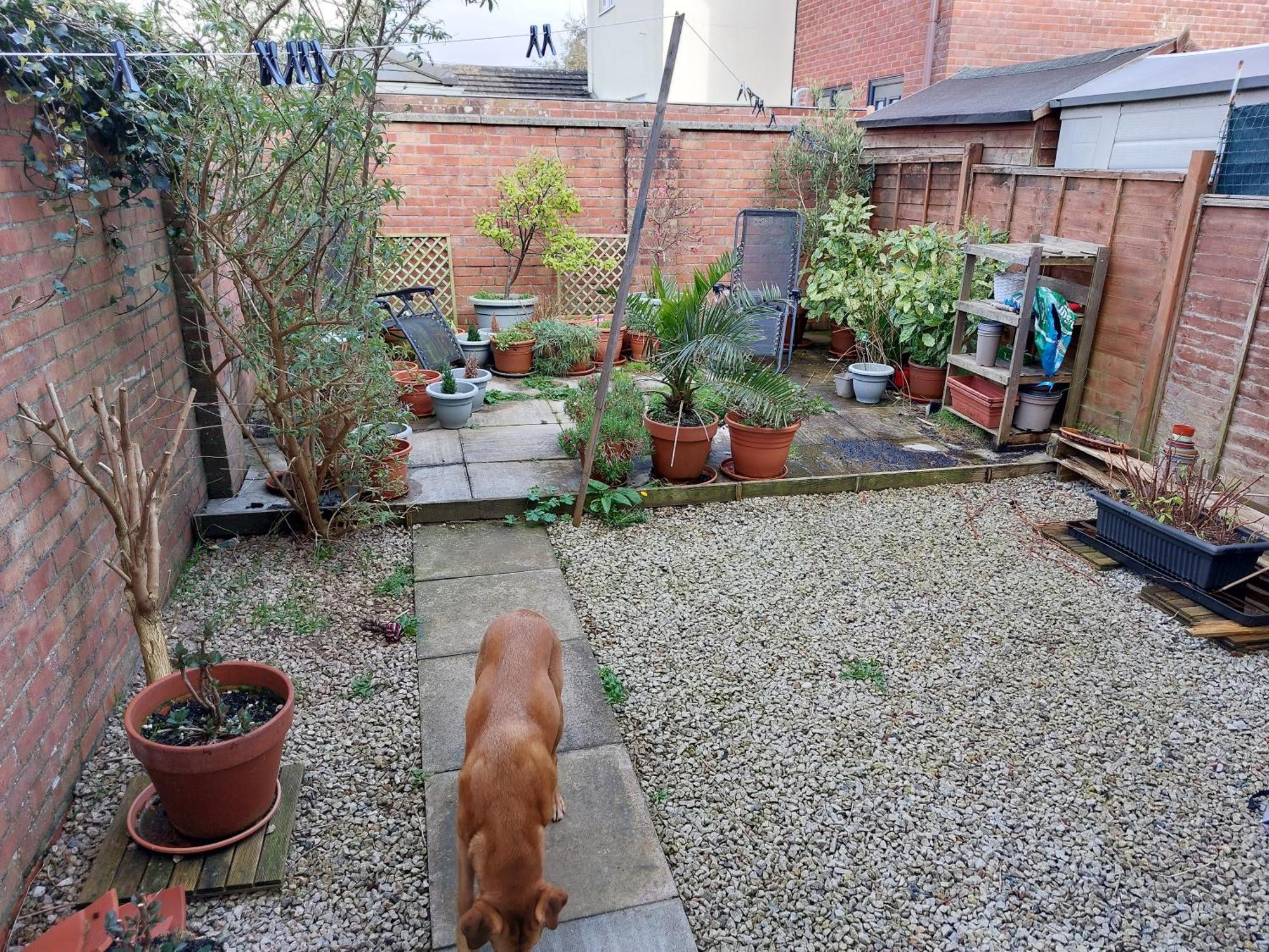 Bude Homestay Stratton  Dış mekan fotoğraf